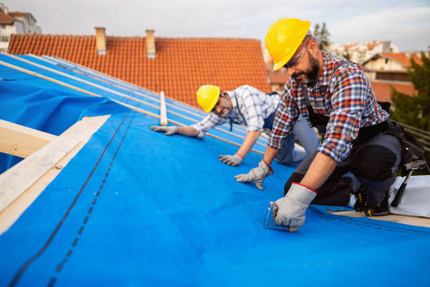 Professional Roofing Contractor in Lexington, MO